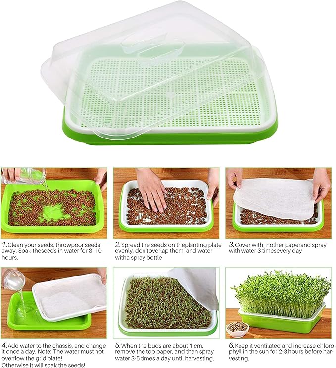 5 Layers Seed Starter Kit - Seed Sprouter Trays with Clear Lid & Stainless Steel Shelf, Soil-Free Germination Trays for Indoor/Outdoor Microgreens, Wheatgrass Mung Beans Cat Grass & Seedling Growing