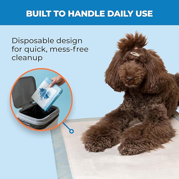 Best Pet Supplies Puppy Pads (22.5 x 22 Inches) - Disposable, Dog Training Potty, Super Absorbent Baby Blue Puppy Pee Pads for Dogs (300 Count)