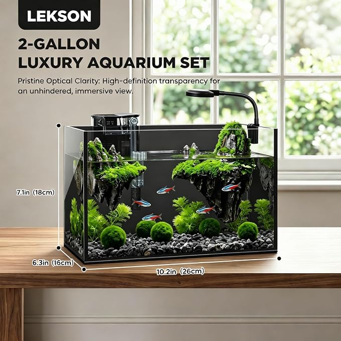 2 Gallon Small Fish Tank Starter Kit with Light, Filter and Mountain Decor | Desktop Betta and Shrimp Habitat with Lid, Gravel, Plants and Aquascaping Tools for Beginners