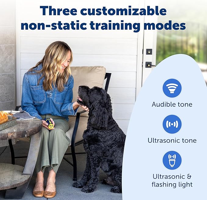 PetSafe Collarless Trainer Ultrasonic Bark Deterrent Handheld Anti Bark Device High-pitched Sound, Flashing Light and Variable Tone Rechargeable Battery Flashlight Wrist Strap