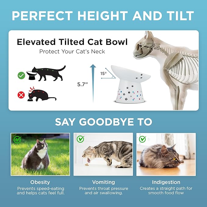 Necoichi Raised Cat Food Bowl – Ceramic Elevated 15° Tilted Cat Bowl for Whisker Fatigue Dishwasher Microwave Safe, Non-Slip Anti Vomiting Design (Colorful Dots, Extra Wide Tilted, 1.5-Cup Capacity)