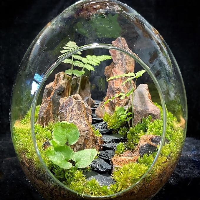 Natural Rocks Dragon Stone 1-2.5 Inches Decorative Stones for Terrariums,Miniature,Fairy Gardens,Bonsai,DIY Crafts, Aquariums,Dioramas & Wargaming-2lb