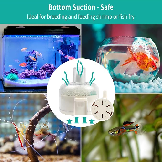 Small Aquarium Sponge Filter, Small Fish Tank Filter & Mini Submersible Fish Filter Built-in Air Bubble Stone and Bio Sponge for Fish Tanks up to 5 Gallon (Air Pump Not Included)