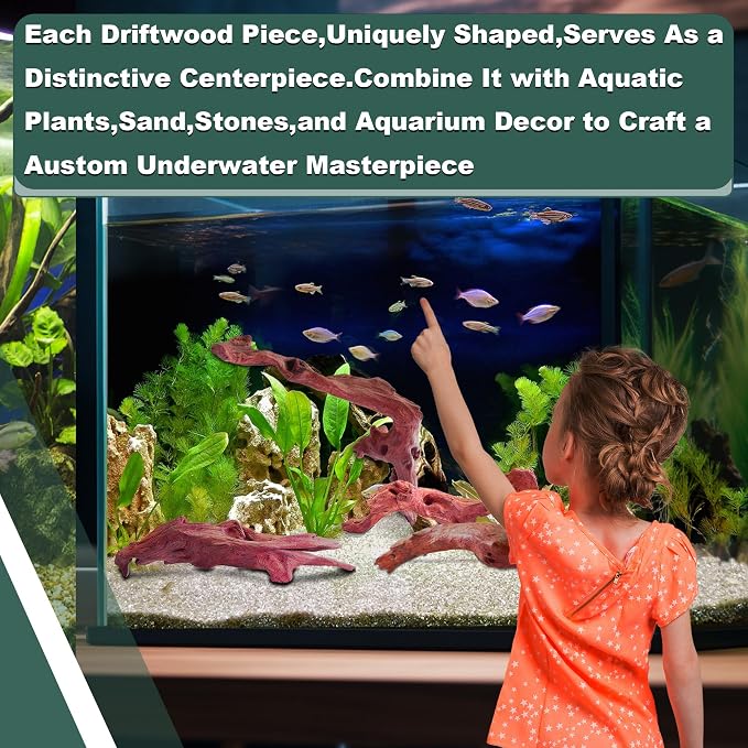 Natural Wood Driftwood for Aquarium Fish Tank Decor,Assorted Driftwood Trunk Branch for Reptile Tank Decor (MOP-ZYM Driftwood (8 to12 Inch)-Pack of 2)