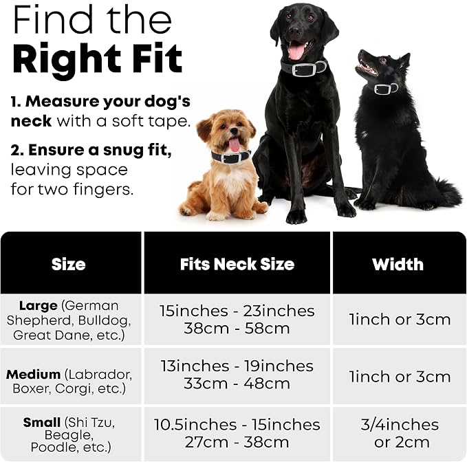 Regal Dog Products Medium Black Dog Collar with Heavy Duty Double Buckle & D Ring | Vinyl Coated, Custom Fit, Adjustable Biothane Dog Collar | Chew Resistant Waterproof Collar for Dogs
