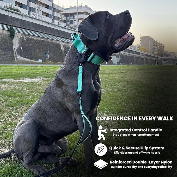 Heavy Duty Dog Collar, Tactical Dog Collar, Dog Collar for Large Dogs, Waterproof Dog Collar, Dog Training Collar, Quick-Release Metal Buckle, Adjustable Sizes – BULLYBREED (Aquamarine, Large)