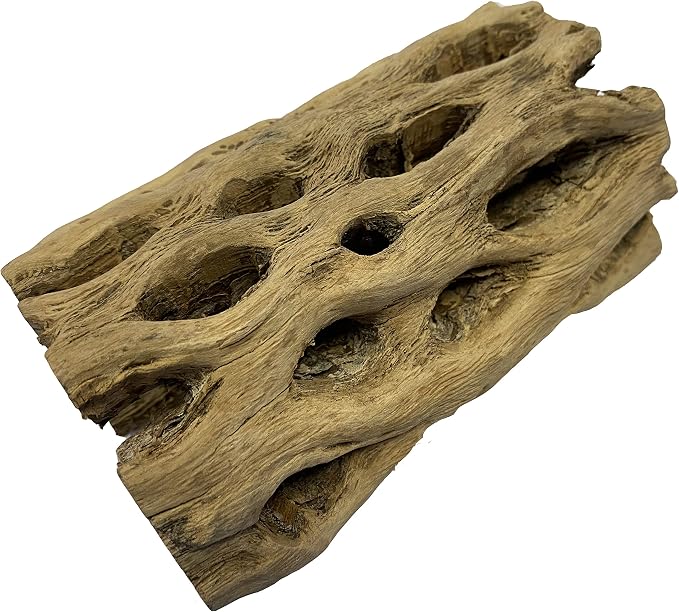 Awesome Aquatic 6 in x 2-3” Thick XL Teddy Bear/Chain Fruit/Buckhorn/Staghorn Cholla Wood Hollow Tube Wood Cactus Skeleton Tubes Thick/Diameter (6 in x 2-3 in Diameter) | XL Hideouts • Hollow tubes • Natural biofilm surface • Secure hideouts • Shrimp p...