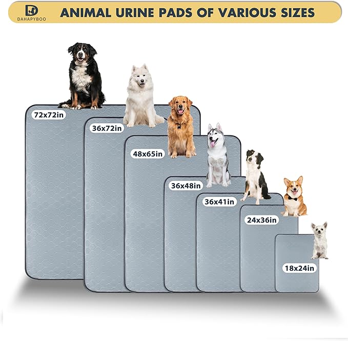 DAHAPYBOO Extra Large Washable Pee Pads for Dogs 65x48,4 Pack | Reusable Puppy Pads for Dogs Non-Slip Waterproof Pet Training Pads for Crate, Playpen, Bed, Sofa,Whelping Box, Potty Training