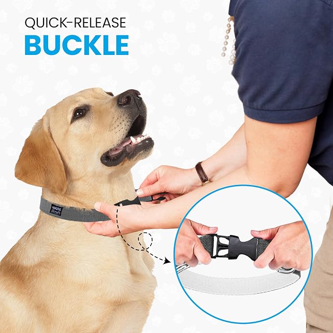 Hypoallergenic Dog Collar - Great for Sensitive Skin, Soft Collar for Dogs, Soft Organic & Earth Friendly (Small)