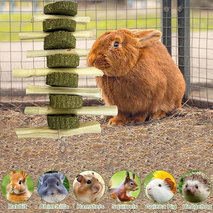 kathson Rabbit Treats Bunny Chew Toys for Teeth Grinding, Organic Bamboo Sticks Natural Guinea Pig Enrichment Toys for Small Animals Hamster Chinchilla 4 Pack