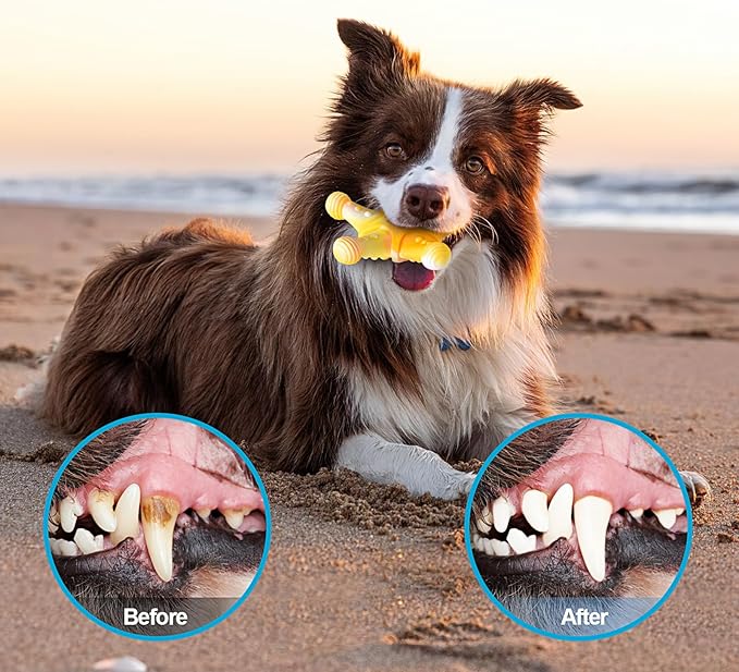 PETSTA Dog Chew Toys for Aggressive Chewers, Durable Dog Toys for Large Dogs, Heavy Duty Dog Toys/Large Dog Toys/Indestructible Dog Toys, Tough Dog Toys for Medium/Large Dogs Breed (New 4 Pack)