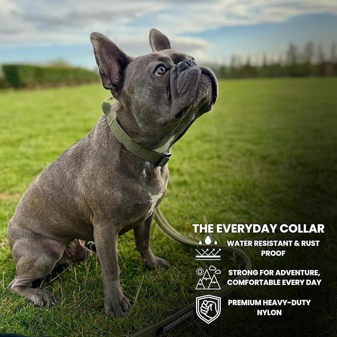 Tactical Dog Collar for Puppy, Heavy Duty Puppy Collar, Dog Collar for Small Dogs, Waterproof Dog Collar, Dog Training Collar, Quick-Release Buckle, Adjustable Sizes – BULLYBREED (Olive Green, Small)