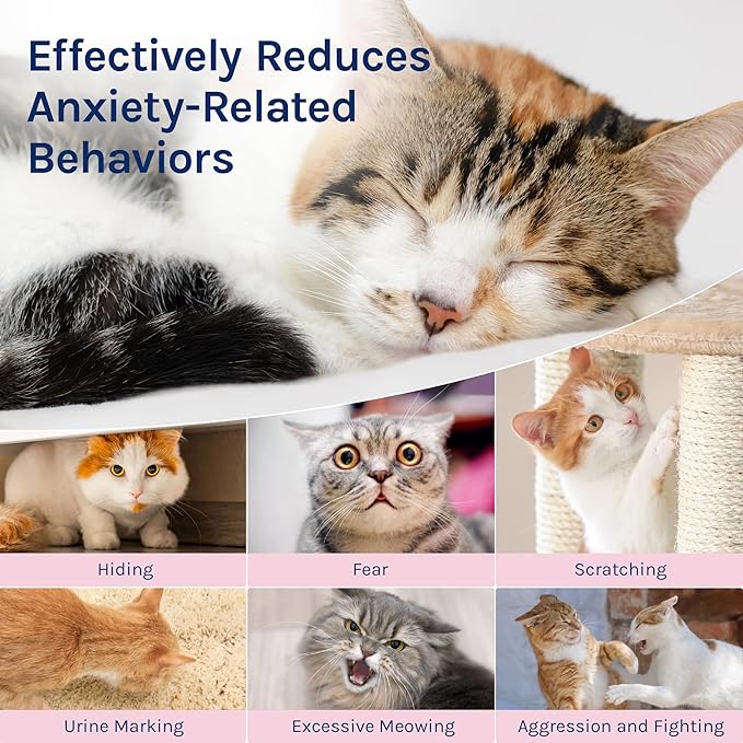Pheromone Diffuser for Cats, Feline Comfort Diffusers| Supports Relaxation & Harmony | 60-Day Starter Kit (2 x 1.4 fl.oz) | Compatible with Most Standard Diffusers