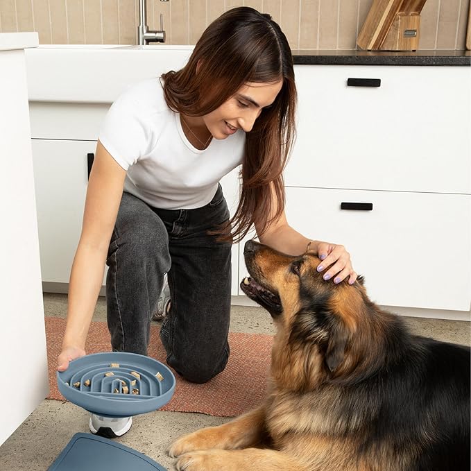 Should We Go? Slow Feeder for Dogs & Puppies, The Slowdown Bowl Silicone Slow Eating, Modern Lick Mat Design, Reduces Gulping, Fits 2.5 Cups, 9.5” Across x 1.5” Tall, Mealtime Challenge, Large-Ocean