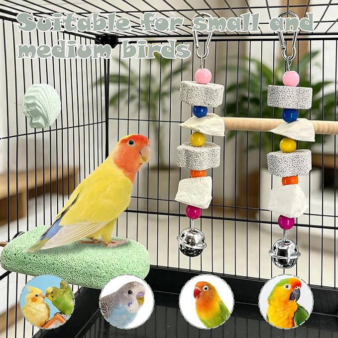 Chewing Birds Toy, 5 Pcs Natural Parrot Cuttlebone Set – Includes Cuttlebone, Lava Block, Grinding Stone & Wooden Perch for Beak Trimming & Calcium – for Small and Medium Parakeets, Cockatiels