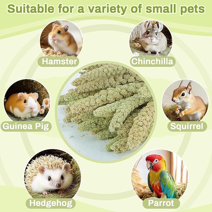 Sukh Hamster Millet Sprays - 30Pcs Natural Millets 12.6In Hamster Bedding Decor Cages and Habitats Accessories Spray for Dwarf Syrian Hamsters Chinchilla Squirrel and Birds