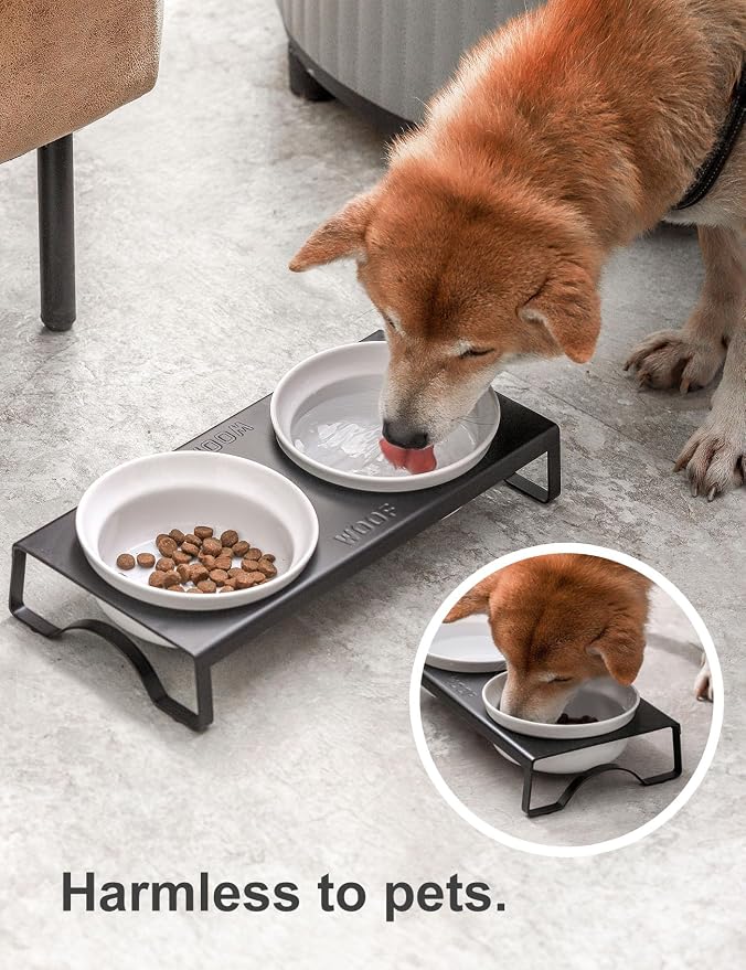 Ceramic White Dog Bowls Set - 5 inch Dog Food & Water Bowls, Elevated Feeding Bowls with Metal Stand for Small Size Dog,Puppy Bowl Set for Wet and Dry Food