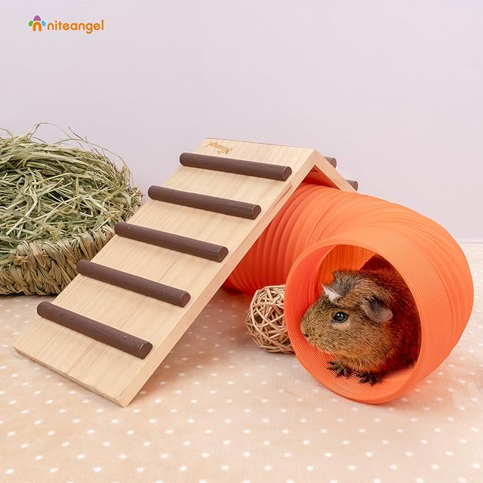 Niteangel Fun Tunnel with 3 Pack Play Balls for Guinea Pigs, Chinchillas, Rats and Dwarf Rabbits (Orange)