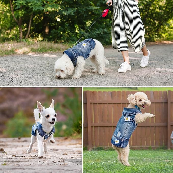 Pawstrip Dog Denim Jacket with Embroidered Daisy, Ripped Vintage Jean Vest for Small Dogs, Pugs, Chihuahuas, Spring Summer Fall Festival Outfit, X-Large (Fits Chest 17-18")