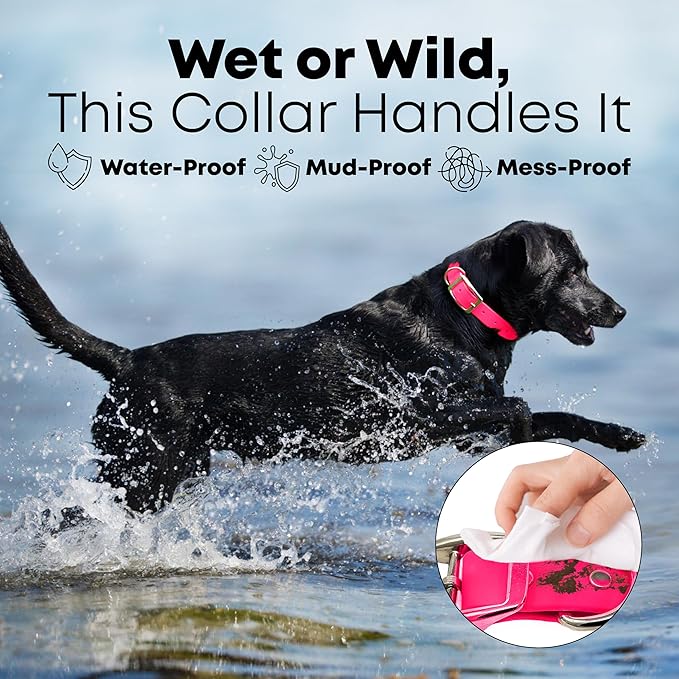 Regal Dog Products Large Pink Waterproof Biothane Dog Collar and Leash Set | Heavy Duty Double Buckle & D Ring - 5'ft Leash | Adjustable, Chew Resistant Collar for Dogs