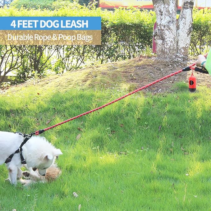 BAAPET 2/4/5/6 FT Dog Leash with Comfortable Padded Handle and Highly Reflective Threads for Small Medium and Large Dogs (4FT-1/2'', Red)