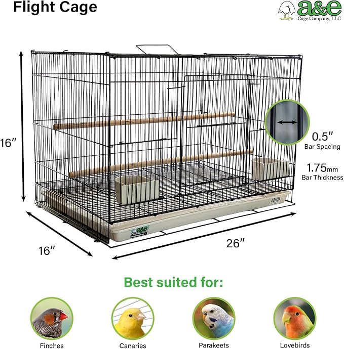 A&E Cage Co 503 Flight Cage – 24"x16"x16" Small Bird Cage with Slide-Out Tray, Wood Perch, Dual Feeding Stations & Carry Handle – Black Powder Coated Cage for Finches, Canaries & Small Birds