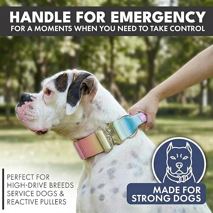 Spark Paws Tactical Dog Collar with Handle - Premium Quality Collar, Robust and Durable Design for Large, Strong Breeds - Pitbulls, Labradors, GSD - Pastel Icing - L