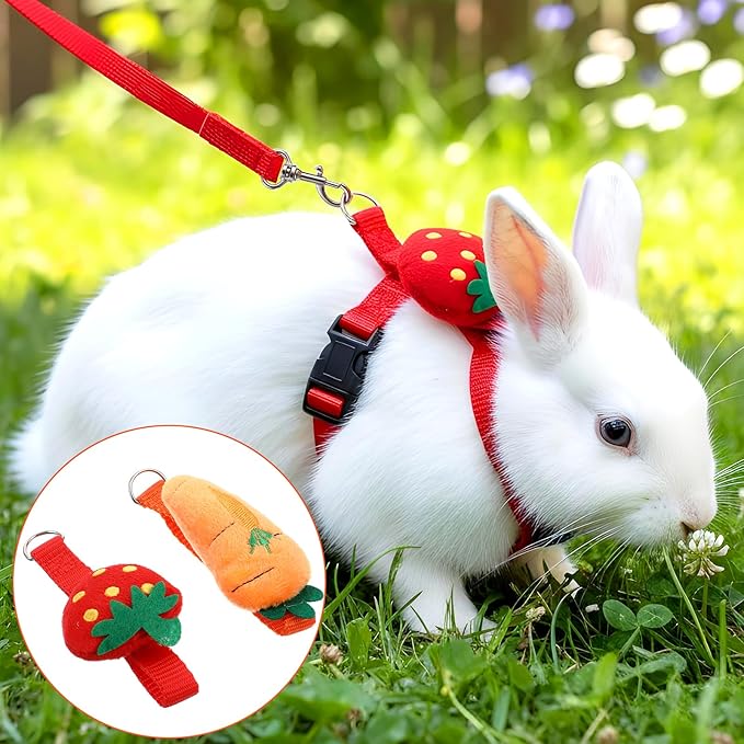 2PCS Bunny Harness and Leash Guinea Pig Leash Rabbit Bunny Leash Kitten Harness and Leash Set for Guinea Pig Ferret Cat Puppy Duck Small Pets Outdoor Walking