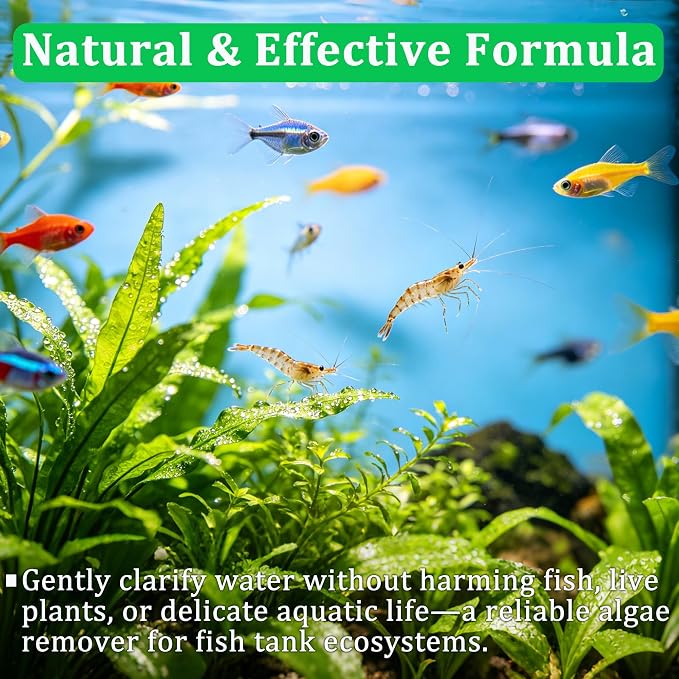 Aquarium Water Purification Tablets - Clear Turbidity (1) | Clears Cloudy Water from Any Fish Tank, Safe for All Aquatic Life, Ideal for Regular Maintenance