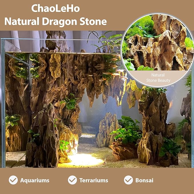 Aquarium Rocks Dragon Stone Natural Hardscape Stone for Aquariums, Fish Tanks, Bonsai, Terrariums, Wargaming Dioramas, Indoor or Outdoor Gardens-5lb(2-6 Inch)