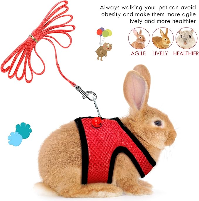 SATINIOR 2 Sets Guinea Pig Harness and Leash Adjustable Soft Mesh Harness Bell No Pulling Comfort Vest for Baby Ferret Rats Hamster Bunny Rabbit Chinchilla and Small Pet(Black, Red,S)