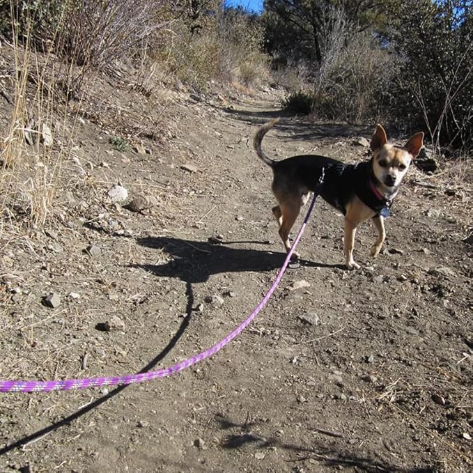 MayPaw Heavy Duty Rope Dog Leash, 6/8/10/15/20/30FT Long Nylon Pet Leash, Soft Padded Handle Thick Lead Leashes for Large Medium Dogs (Purple, 1/2" * 10')