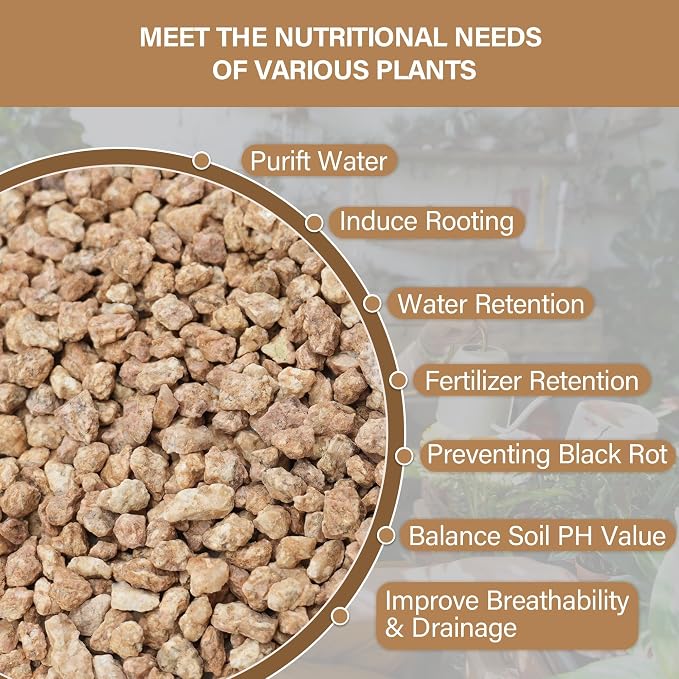 NUPICK 3lb Maifanitum Stones for Succulent, 1/8"-1/4" Rocks for Bonsai | Decorative Golden Pea Gravel for Cactus, Small Pebbles for Indoor Plants Soil Covers, Vases Fillers, Aquarium, Top Dressing