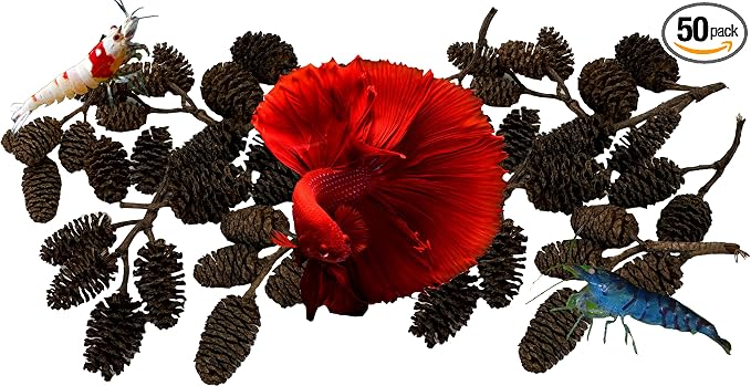 Awesome Aquatic 50 Alder Cones, Blackwater, Betta Shrimp Habitat | Natural tannins Botanicals Softwater Leaf litter Biofilm surface Water enrichment Natural décor Easy to use