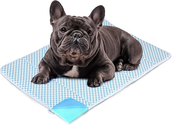 Cooling Dog Mat Q-Max>0.5 - Rapid Cooling Tech, Thin Breathable Crate Pad, Portable Washable Summer Mat, Chill Soothing Fabric - 30"x20" Medium Dog, Blue