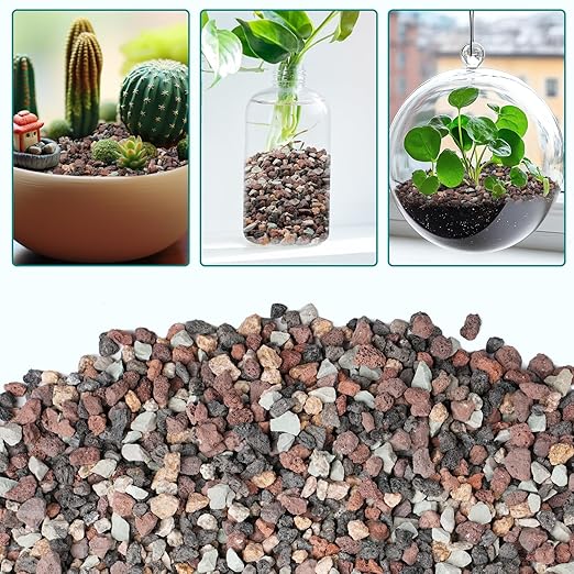 2.5lbs Mix Horticultural Lava Rock for Plants, 1/5 Inch Potting Soil Amendment for Succulents, Cactus & Bonsai, Decorative Volcanic Gravel for Terrarium, Drainage Gritty Rock, Top Dressing