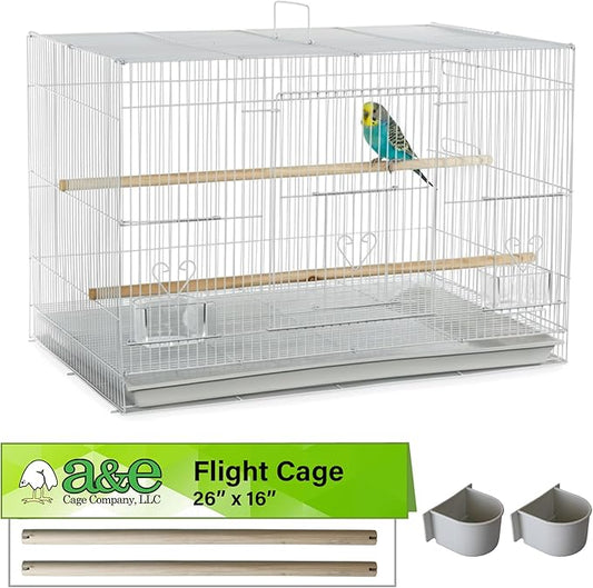 A&E Cage Co 503 White SP Flight Bird Cage – 24" x 16" x 16" Small Bird Cage for Finches, Canaries & Parakeets – Includes 2 Feeder Stations, Wood Perch, Slide-Out Tray & Carry Handle (White)