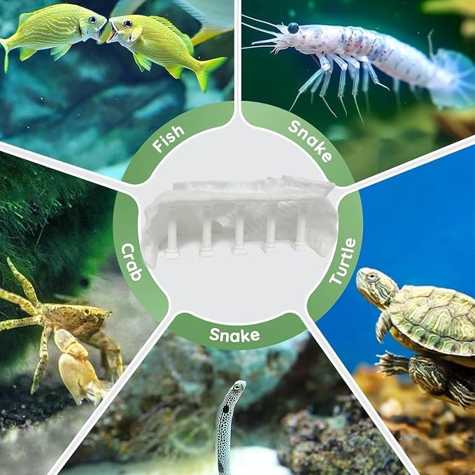 LIYAOLI Aquarium Ornaments Cave Tunnel with Viewing Ports | Fish Tank Decoration Hideout for Pleco, Shrimp & Corydoras | Substrate-Friendly Design & Sinking Base (S - Roman Columns - White)