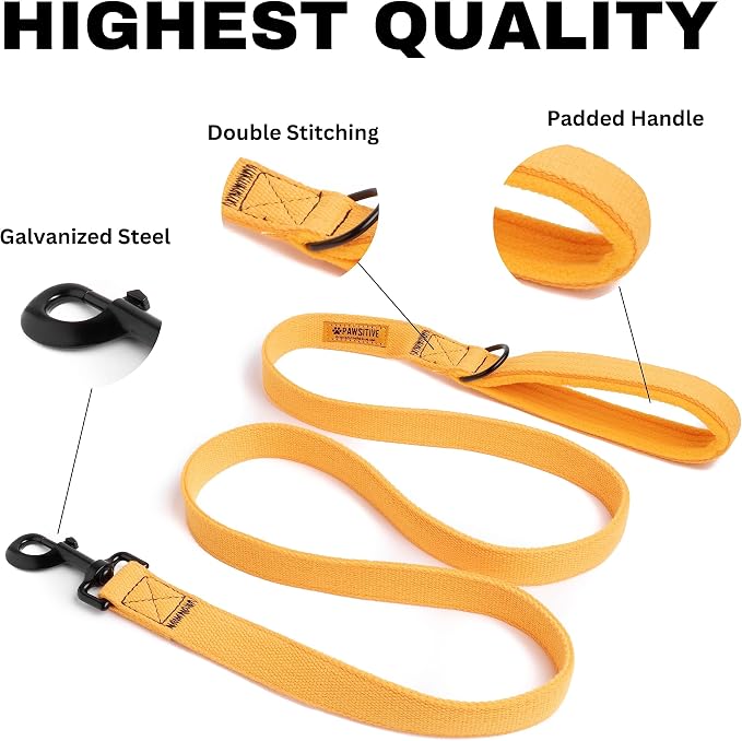 Pawsitive Hemp Leash - 5ft Long, with a Padded Handle for Extra Comfort. Made from Durable, Machine Washable Hemp; Yellow