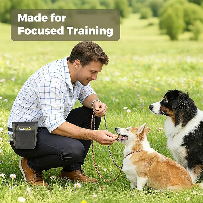 Dog Treat Pouch for Pet Training, One-Hand Magnetic Closure, Hands-Free Treat Bag with Silicone Liner, No Mess No Smell