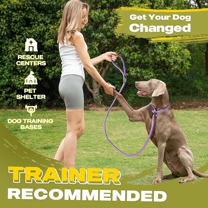 Fida Durable Slip Lead, 6 FT x 1/2" Heavy Duty Rope Leash for Large, Medium Dogs, No Pull Pet Training Leash with Highly Reflective, Purple