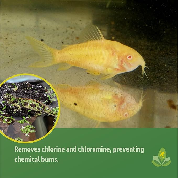 Josh's Frogs Dechlorinator Tap Water Conditioner (4 oz)