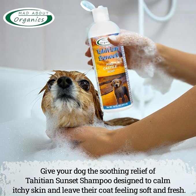 Tahitian Sunset Dog Shampoo - Pure Castile Soap with Essential Oils, Gentle & Conditioning Formula for All Coat Types, Suitable for Dogs 4 Weeks & Older, Mild Scent, 16 oz