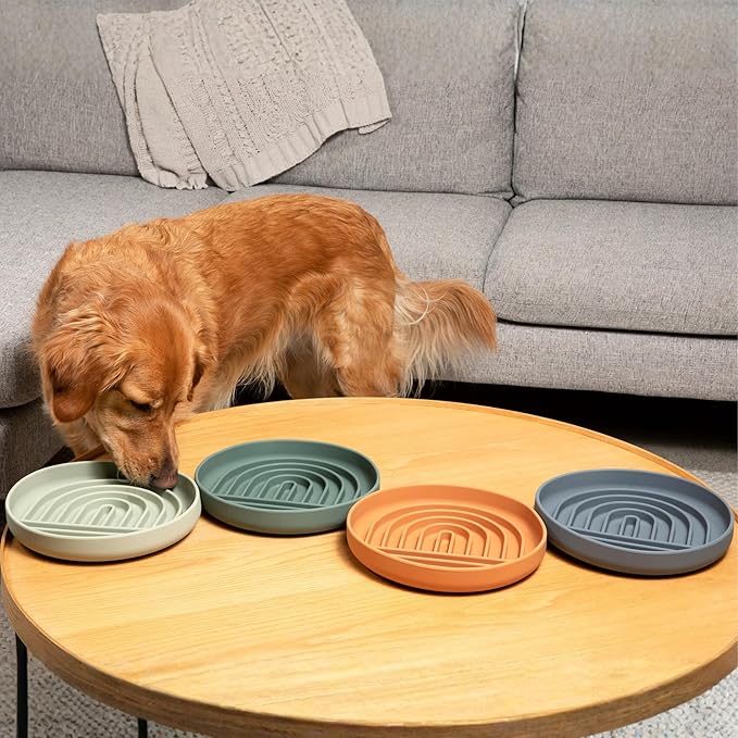 Should We Go? Slow Feeder for Dogs & Puppies, The Slowdown Bowl Silicone Slow Eating, Modern Lick Mat Design, Reduces Gulping, Fits 2.5 Cups, 9.5” Across x 1.5” Tall, Mealtime Challenge, Large-Sage