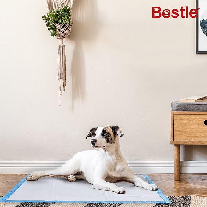 BESTLE Extra Large Pet Training and Puppy Pads Pee Pads for Dogs 28"x34" -30 Count Super Absorbent & Leak-Proof
