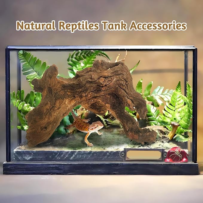 kathson Natural Large Aquarium Driftwood Decoration Branches Reptiles Terrarium Ornament Wood Fish Tank Habitat Decor Assorted Sizes Wood 2 PCS (10"-14")