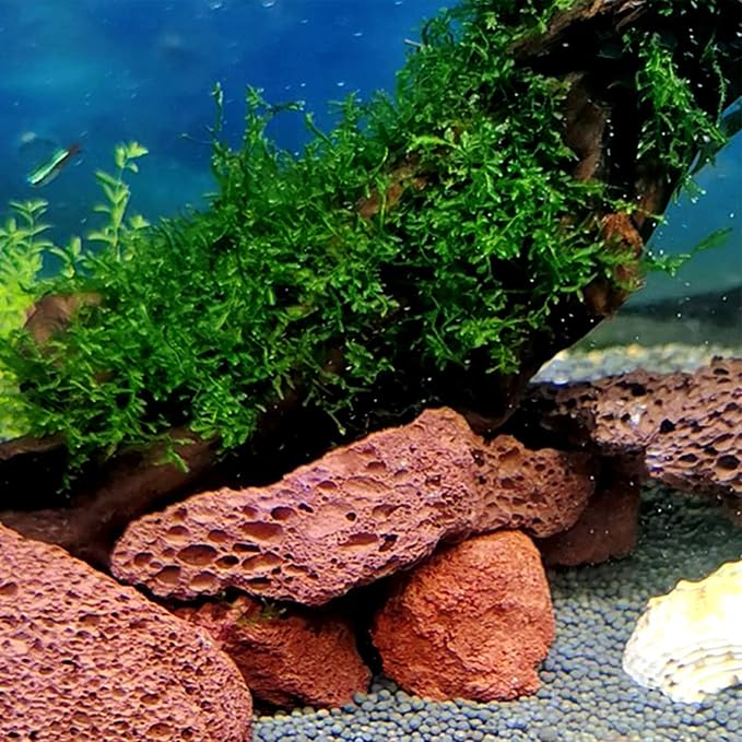 Tfwadmx Aquarium Red Lava Rock 10 Pcs Fish Tank Volcanic Pumice Stones for Betta Fish Shrimp (1.96''-3.14'')