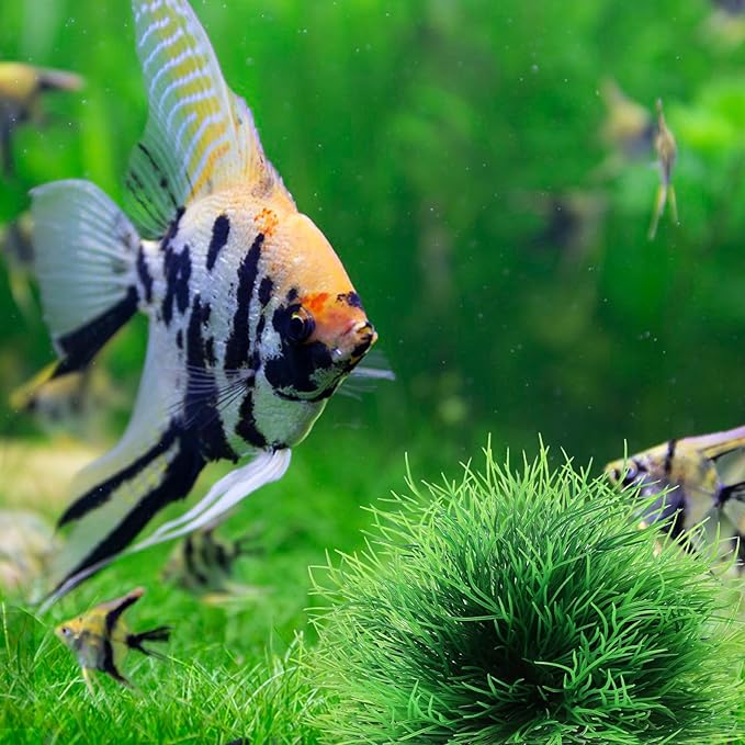 2 Pcs Aquarium Plants Decorations Fish Tank Decorations Artificial Fish Tank Plants Plastic Fishes Tanks Accessories Small Large Aquarium Decoration Plastic Artificial Plant(Light Green)