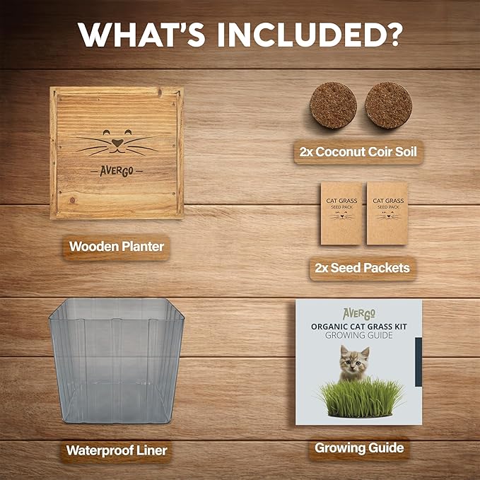 Cat Grass Kit for Indoor Cats – x2 Seed Packets | Cat Grass Seeds with Wooden Planter & Soil for Nipping & Nibbling – Pet Wheatgrass Grass