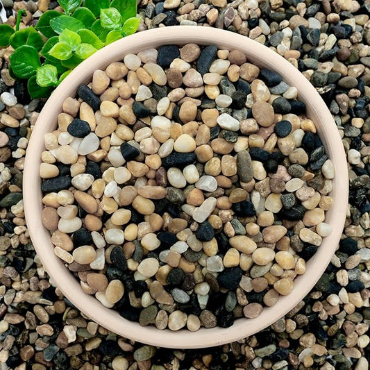 NUPICK 12 lb Aquarium Gravel, 1/4" Ph-Natural Pea Gravel for Fish Tank,Small River Rocks for Plants, Decorative Aquarium Pebbles for Vase Fillers, Landscaping, Succulent, Cactus, Terrarium, Bird Bath